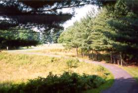 The path approaches the first crossing of Ring Rd.