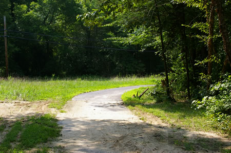 The trail turns right to follow a telephone cable.