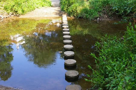 Close-up of the column crossing. The columns end in a thorny bush on the far side so watch your hands.