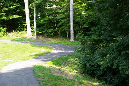 Turn right at the next trail intersection with the water retention basin on your left.