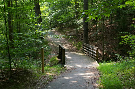 Shortly after turning onto this trail it crosses a bridge.