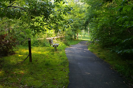 The trail passes a CCT sign and a bench. However, this is not the CCT.