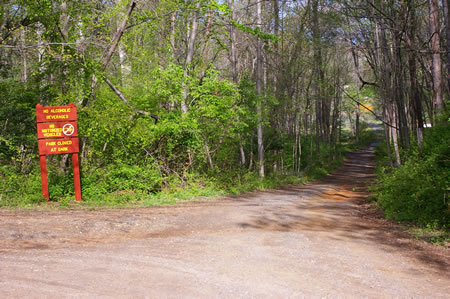 Walk down Hunters Valley Road going west down the hill.