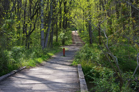 Follow the road across the bridge and up the hill.