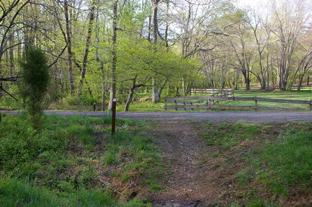 The trail comes to a road. This marks the end of this section of the CCT. Continue straight to start the next section or turn left to walk up to a parking area on Hunters Valley Rd.