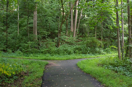 An asphalt trail intersects from the left. Stay to the right on the present trail.