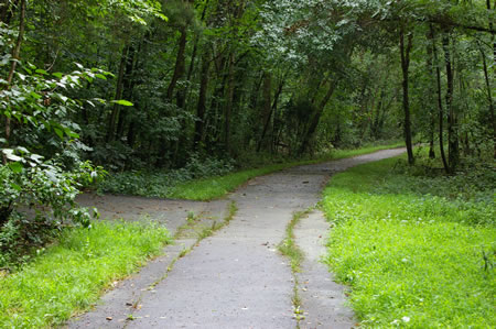 An asphalt trail intersects from the left. Continue straight on the present trail.