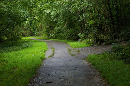 An asphalt trail intersects from the right. Continue straight on the present trail.