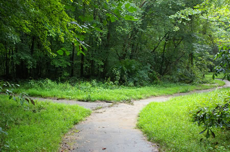 An asphalt trail intersects from the left. Stay on the present trai as it curves to the right.