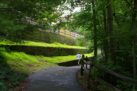 Homes appear on the left.