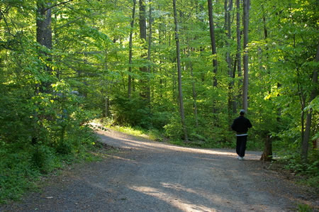 A trail intersects from the left.  Keep to the right on the current trail.