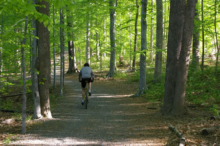 The trail goes down a hill and passes an intersecting trail on the left.