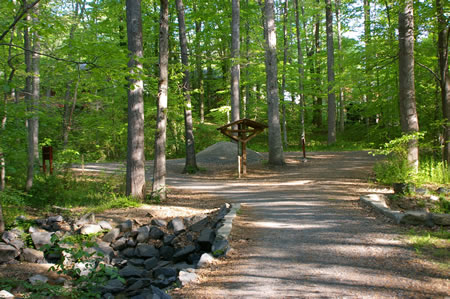 At the next trail intersection turn left to continue following the lake.