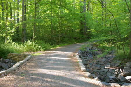 The trail crosses a creek and continues to follow the lake.