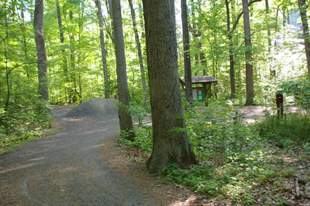 At the next intersecting trail turn right to follow that trail.