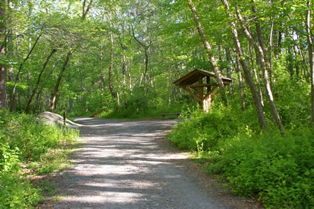 A trail intercepts from the right.  Continue straight on the present trail.