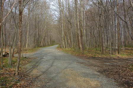 Go straight at the intersecting stone trail.