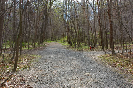 Go straight at the intersecting stone trail.