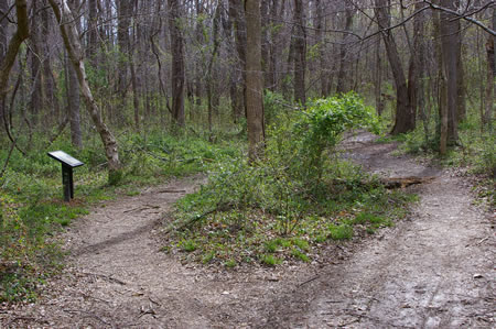 The exhibit on the left will confirm that you are on the trail.