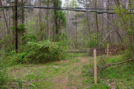 Turn right at the trail marker to follow the telephone cable.