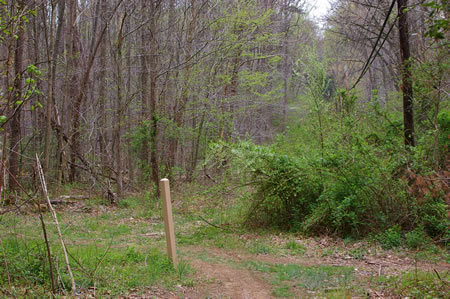 AT the next marker turn sharply left to leave the telephone cable.