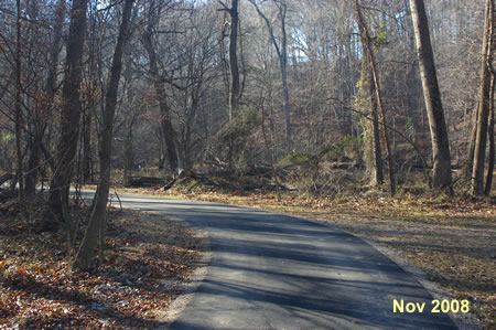 At the end of the parking lot turn right and walk across the parking lot to the trail entrance as it turns to the left to follow the creek.