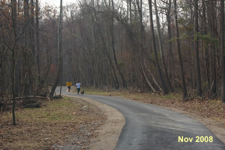 The trail continues to follow the creek on the other side.