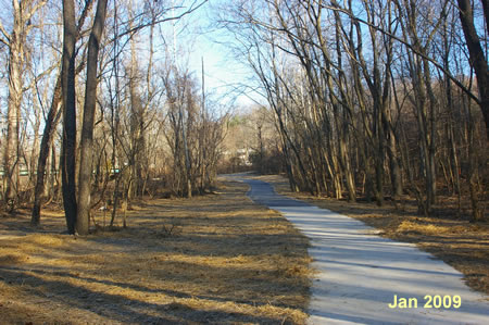 The trail turns left to parallel the creek.