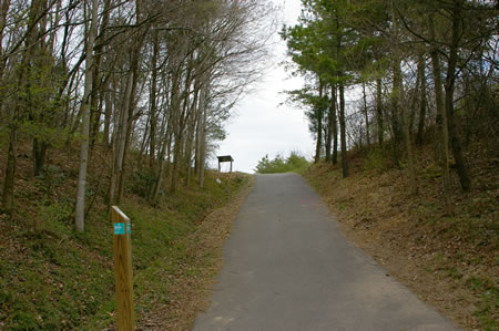 The trail continues to climb the hill.