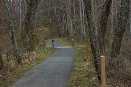 The trail crosses Glade Stream on a bridge and turns right to follow that stream.