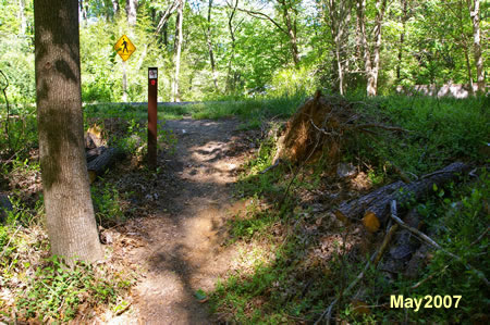 The trail leaves the woods and turns slightly left to intersect with Lawyers Rd.