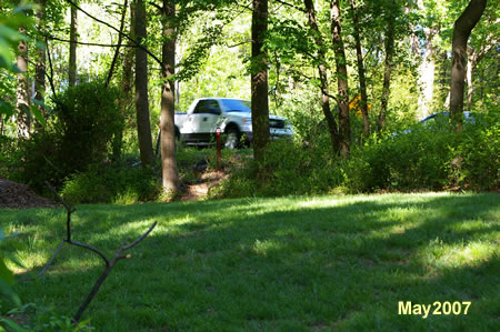 The trail leaves the woods and crosses an open area.