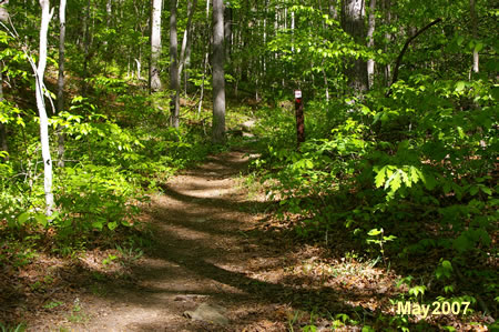 The trail climbs the hill.