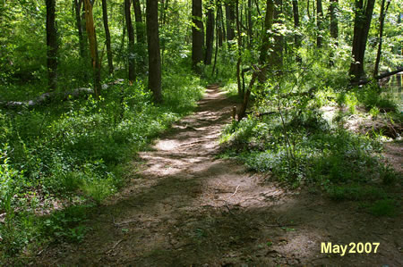 Be alert for the marker to turn right at this clearing. It is somewhat obscured by the brush.