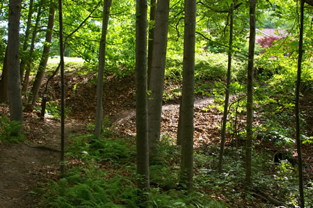 The trail makes a right turn prior to a steep hill.