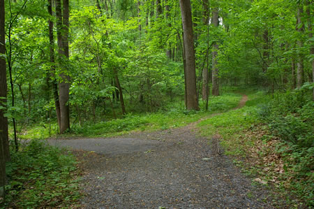 Turn left at the next trail intersection.