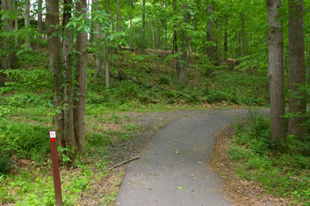 Take the trail to the right at the next trail intersection.