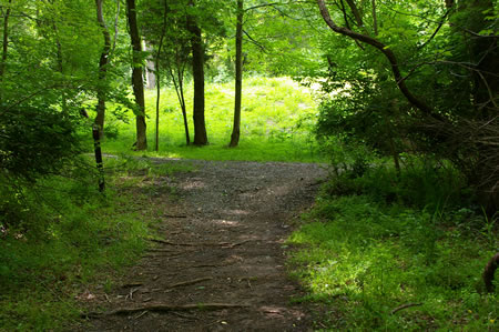 Turn right at the intersection with a hard surface trail.