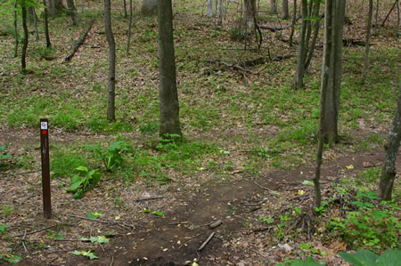 Turn right onto the next dirt trail at the marker.