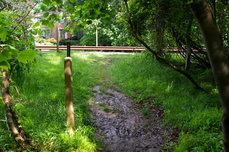 The trail intersects with Miller Heights Rd. The last 30 feet may be muddy at times.