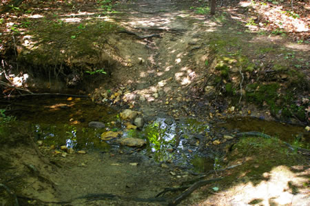 This is a close-up of the crossing.