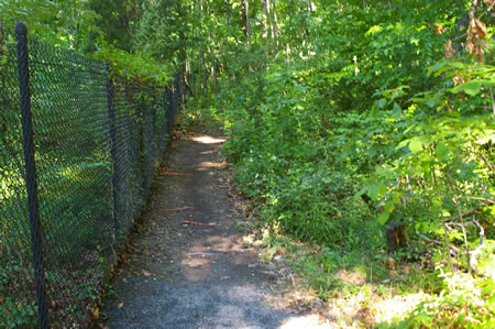 The trail has a dirt surface from this point on.