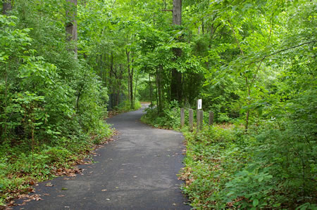 A dirt trail intersects from the right. Continue straight on the present trail.