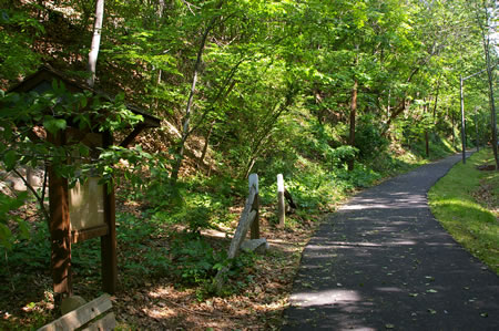 A side trail goes up the steps to the left. Continue on the present trail.