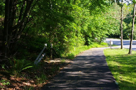 A side trail goes up the steps to the left. Continue on the present trail.