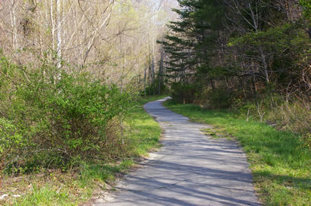 The CCT has joined the walk at this point. Go straight on the asphalt trail with Pohick Creek on the left.