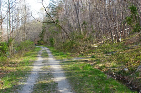 An asphalt trail intersects from the right. Continue straight on the present trail.