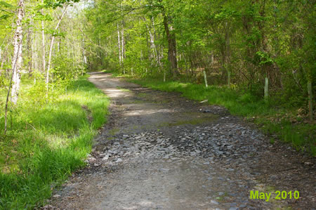 There are some wet areas in this section of trail but it is passable.