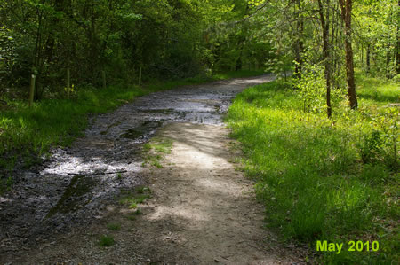 The trail crosses some wet spots that are passable.