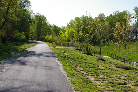 The walk passes a side trail crossing the gully.